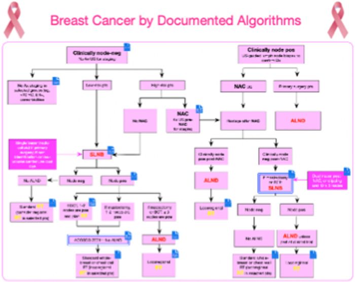 Academic Medical Information About Breast Cancer BreastMD